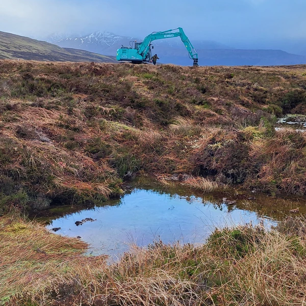 Groundbreaking research reveals cost of maintaining restored peatland