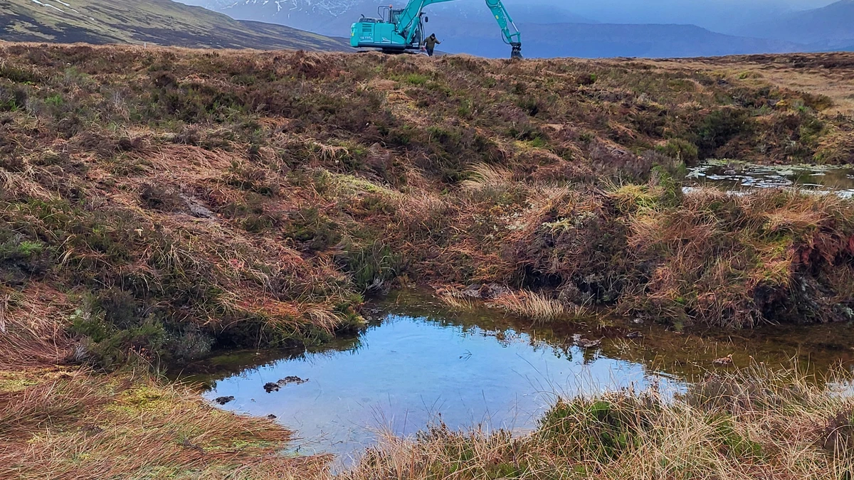 Groundbreaking research reveals cost of maintaining restored peatland