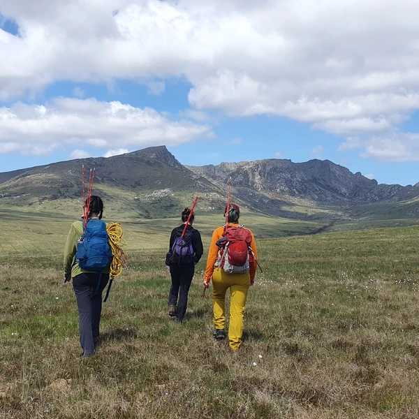 We're hiring! Senior Principal Ecologist role available