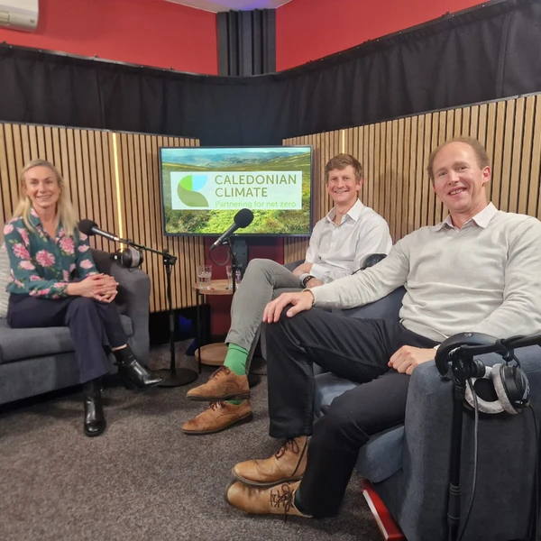 How to make your peatland restoration project market-ready? Key takeaways from our webinar