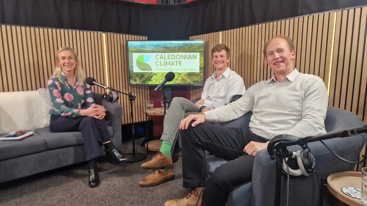 How to make your peatland restoration project market-ready? Key takeaways from our webinar