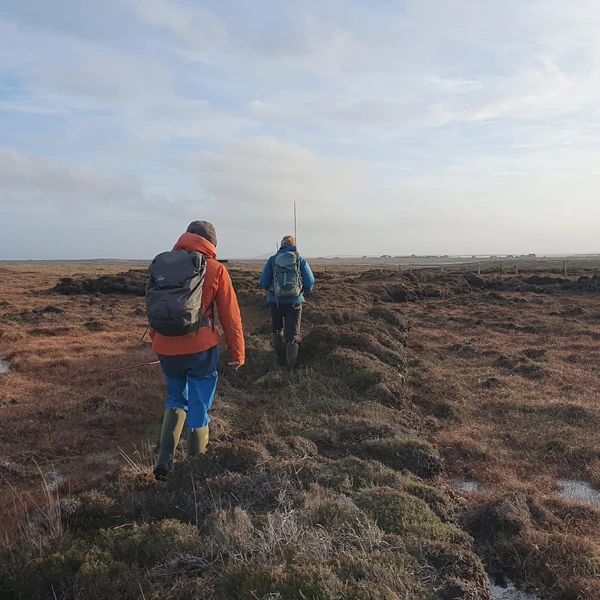 Bogged down in the details