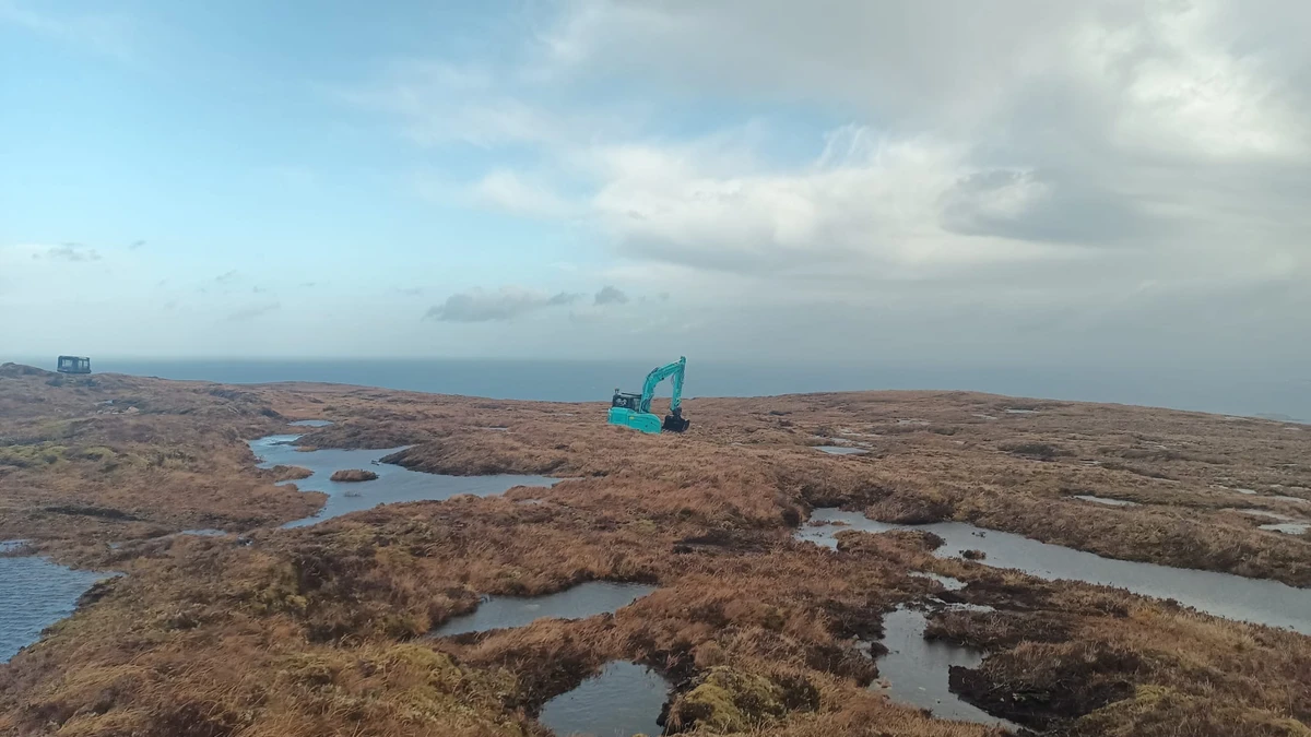 5 ways peatland restoration impacts water
