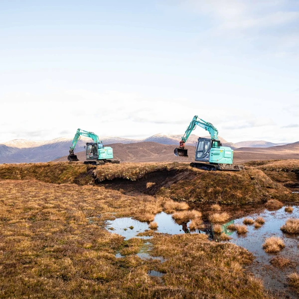 Diageo teams up with Caledonian Climate to recover up to 3,000ha of Scottish peatlands