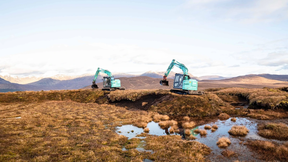 Diageo teams up with Caledonian Climate to recover up to 3,000ha of Scottish peatlands