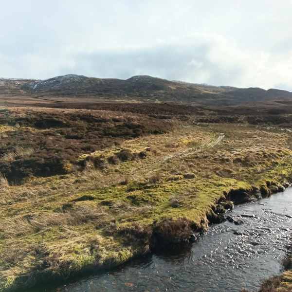 Peatland ACTION awards grant to Fort Augustus peatland project