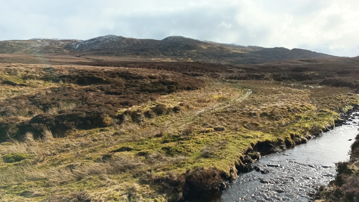 Peatland ACTION awards grant to Fort Augustus peatland project