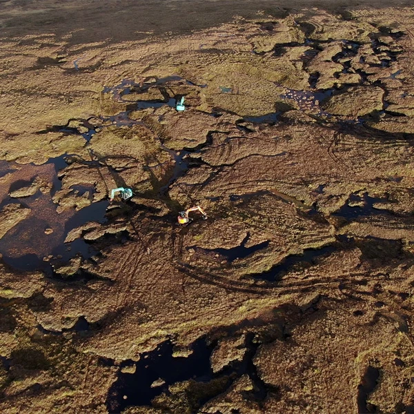 Wetlands International announces the Peatland Breakthrough
