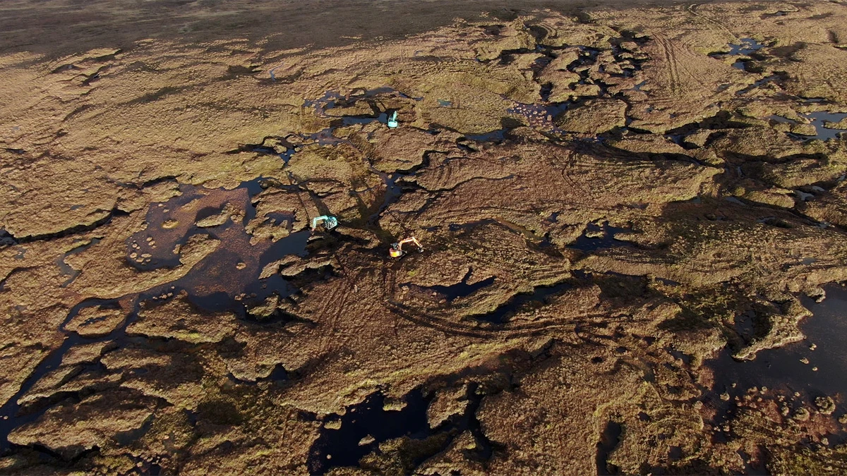 Wetlands International announces the Peatland Breakthrough