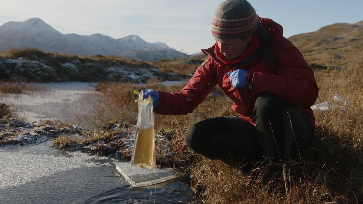The importance of peatland management: Adding value for Scotland's landowners